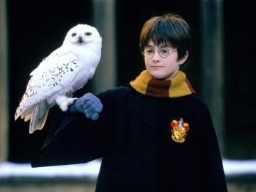 harry potter kameň mudrcov premietanie výročie