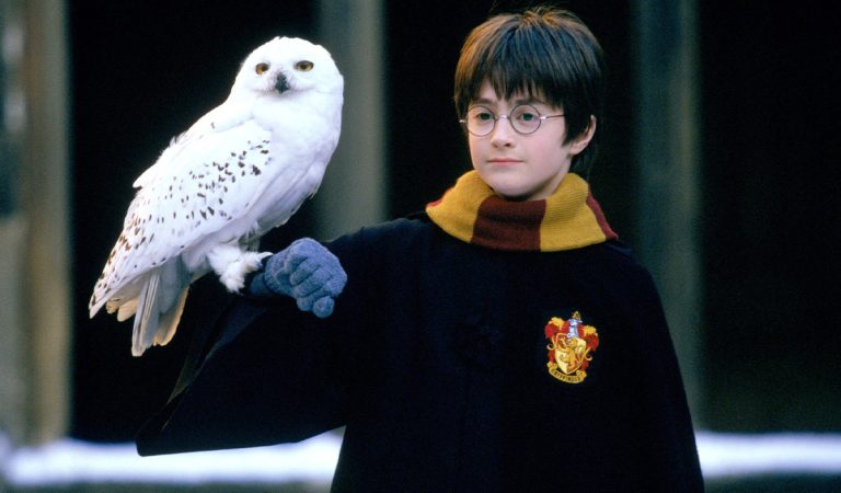 harry potter kameň mudrcov premietanie výročie