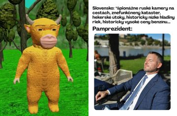 BACK TO THE MEMES: Hlasuj za najlepšie meme augusta