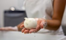 mozzarella