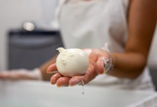 mozzarella