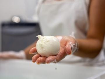 mozzarella