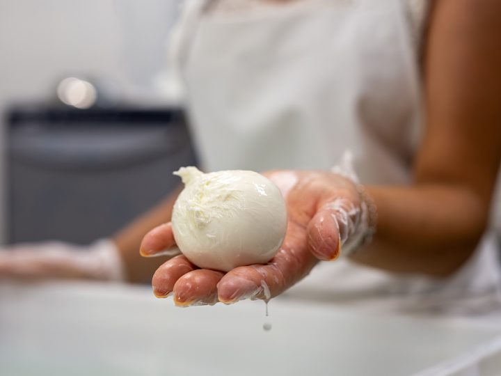 mozzarella