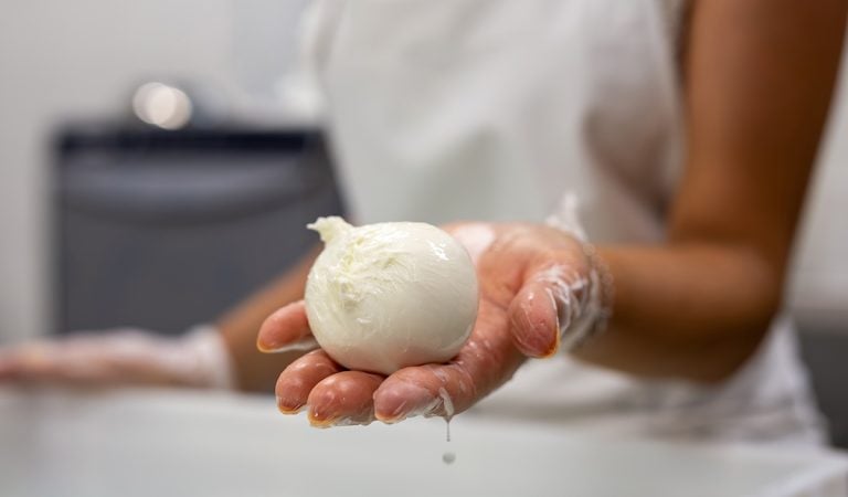 mozzarella
