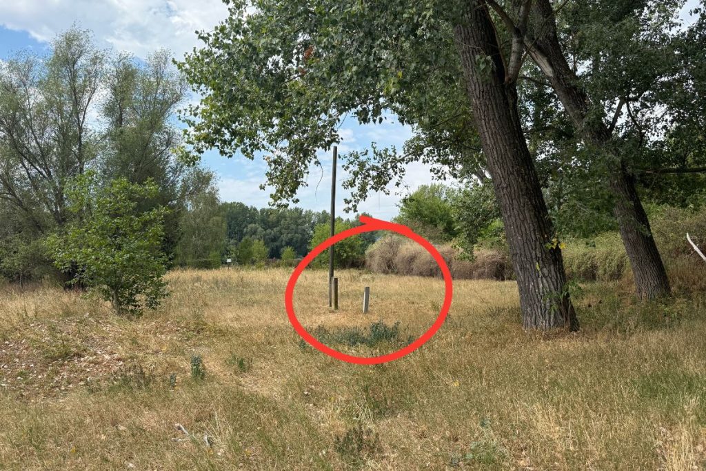 Aká krajina, taký monument: V Šali sme objavili bizarnú pamiatku venovanú Igorovi Matovičovi