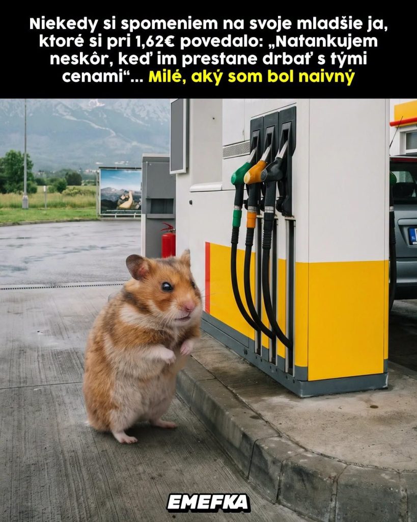 Prinášame ti ďalšiu epizódu seriálu 10 najlepších memes uplynulého týždňa. Minulotýždňové zhrnutie memes z produkcie EMEFKA je tu.