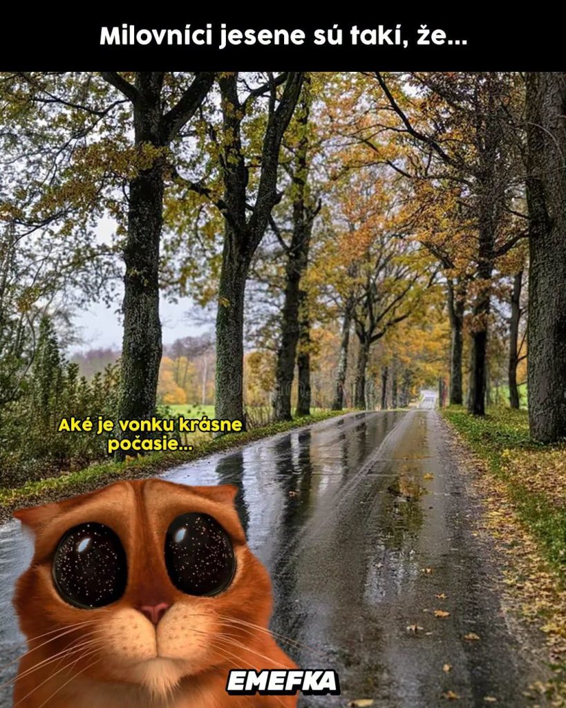 Prinášame ti ďalšiu epizódu seriálu 10 najlepších memes uplynulého týždňa. Minulotýždňové zhrnutie memes z produkcie EMEFKA je tu.