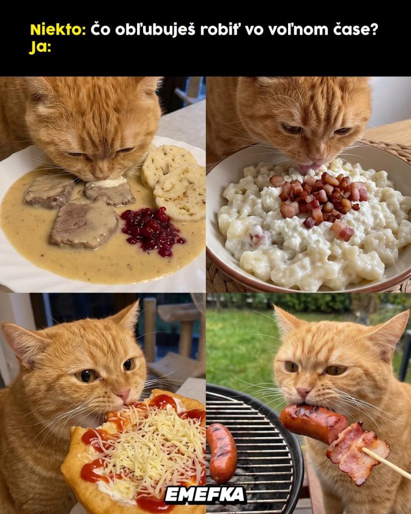 Prinášame ti ďalšiu epizódu seriálu 10 najlepších memes uplynulého týždňa. Minulotýždňové zhrnutie memes z produkcie EMEFKA je tu.