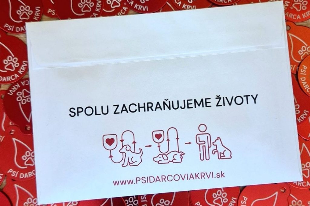 Vedel si, že aj pes môže darovať krv? Šéfka OZ Psí darcovia krvi opisuje, čo sa deje na veterine a vyvracia mýty, ktorým ľudia stále veria