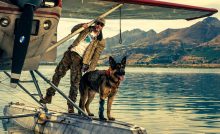 bad pitt 10 zaujímavostí v srdci divočiny film nový survival