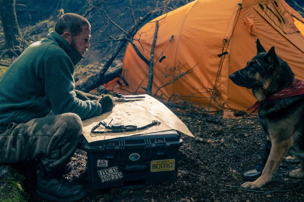 Aljašku nahradil Nový Zéland a psieho hrdinu hrali štyria ovčiaci. Toto si o novom survival filme V srdci divočiny netušil
