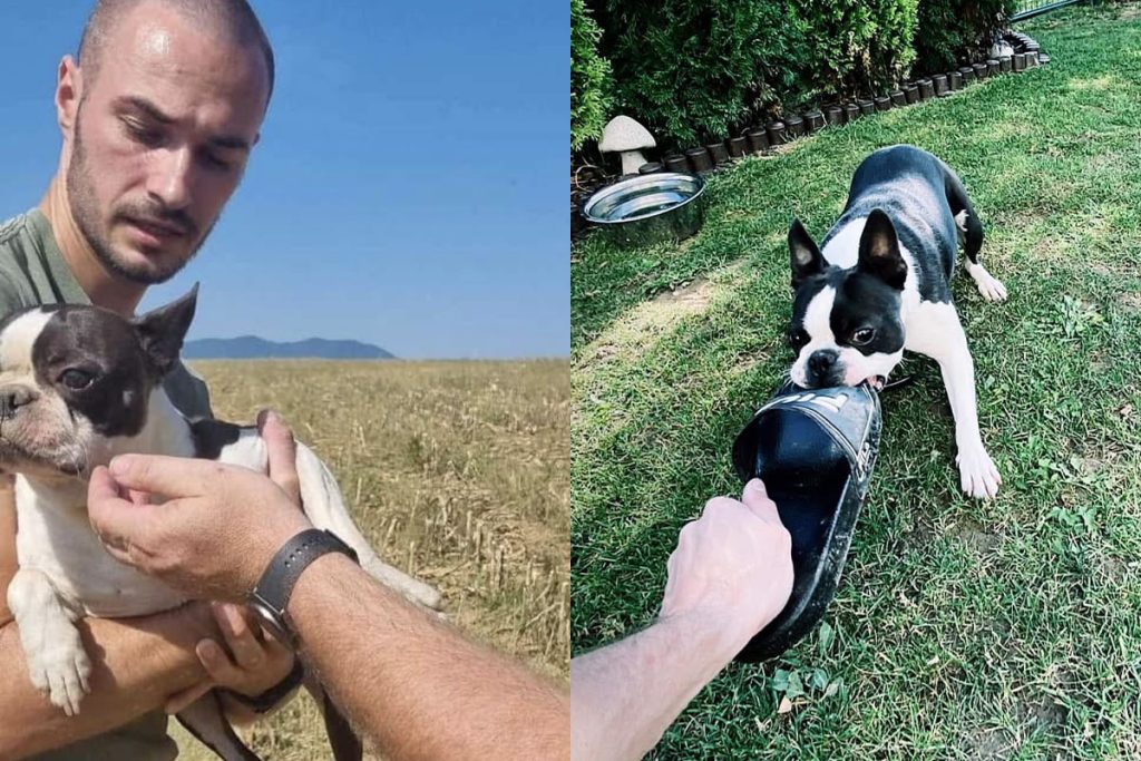 Slovák pes hľadanie dron