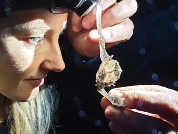 netopiere denisa lobova netopier slovensko zvieratá rozhovor