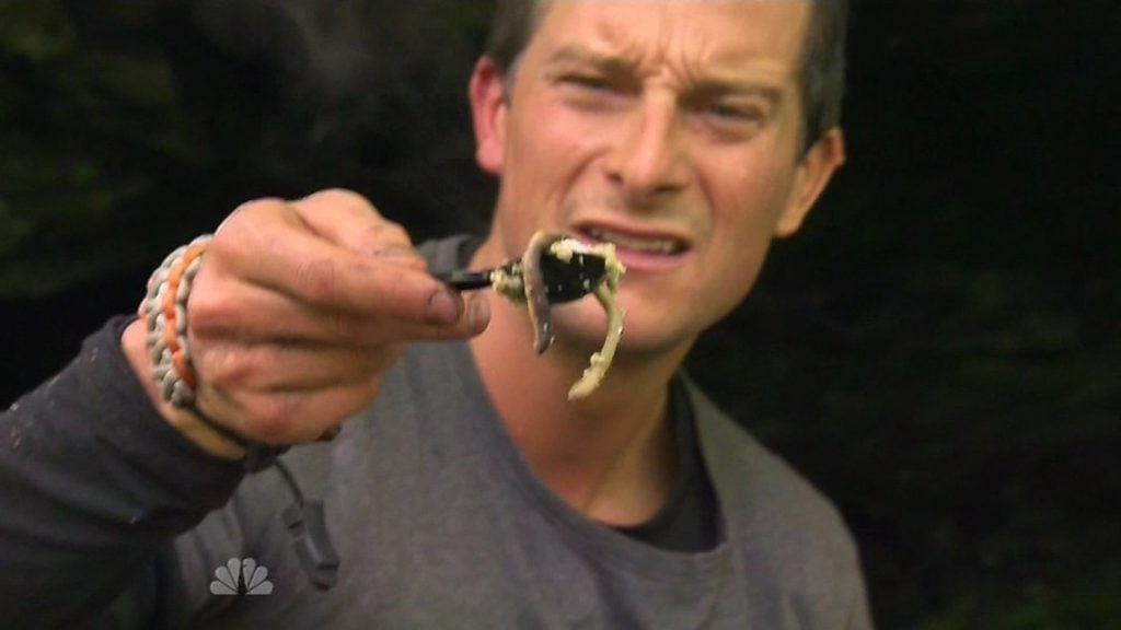 Bear Grylls