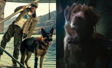 psí hrdinovia legendárni v srdci divočiny brad pitt nový film