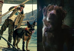 psí hrdinovia legendárni v srdci divočiny brad pitt nový film