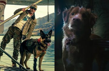 Brad Pitt nebude v novom filme V srdci divočiny jedinou hviezdou. Toto sú najpamätnejší psí hrdinovia filmovej histórie