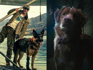 psí hrdinovia legendárni v srdci divočiny brad pitt nový film