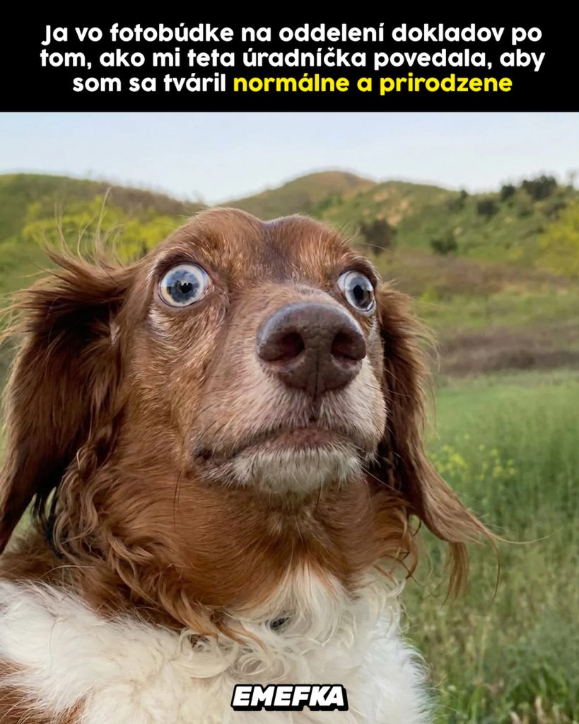 TOP KOMENTY