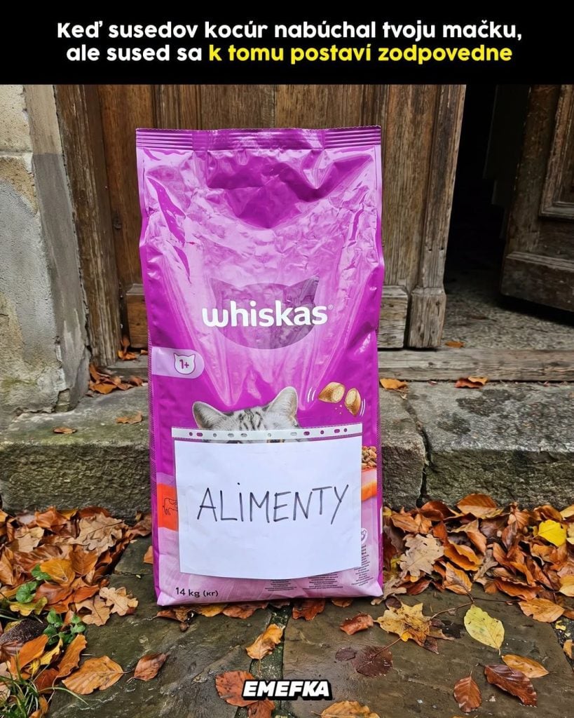 Prinášame ti ďalšiu epizódu seriálu 10 najlepších memes uplynulého týždňa. Minulotýždňové zhrnutie memes z produkcie EMEFKA je tu.
