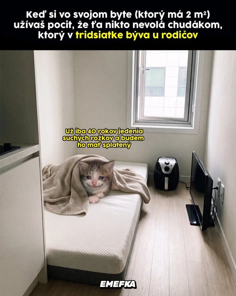 Prinášame ti ďalšiu epizódu seriálu 10 najlepších memes uplynulého týždňa. Minulotýždňové zhrnutie memes z produkcie EMEFKA je tu.