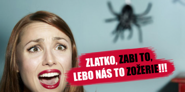 Zoznamka tému BuddyPress