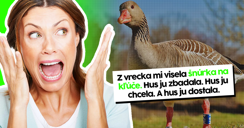 Visel biele vtáky