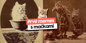 zrelé Lesbičky Sex klipy