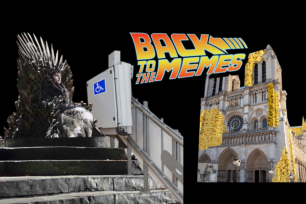 Hot oholený mačička pics