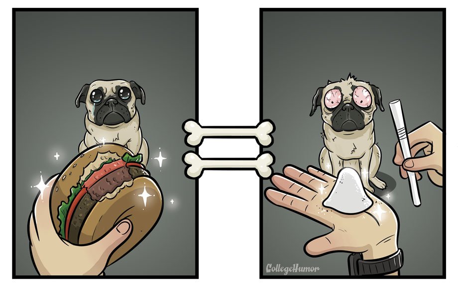 7 ilustrovaných porovnaní: Ako vidíme bežné veci my vs. náš pes