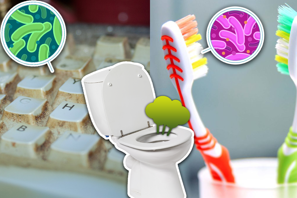 Peňaženka, ľad či vankúš? Na týchto veciach je omnoho viac baktérií ako na záchodovej doske.