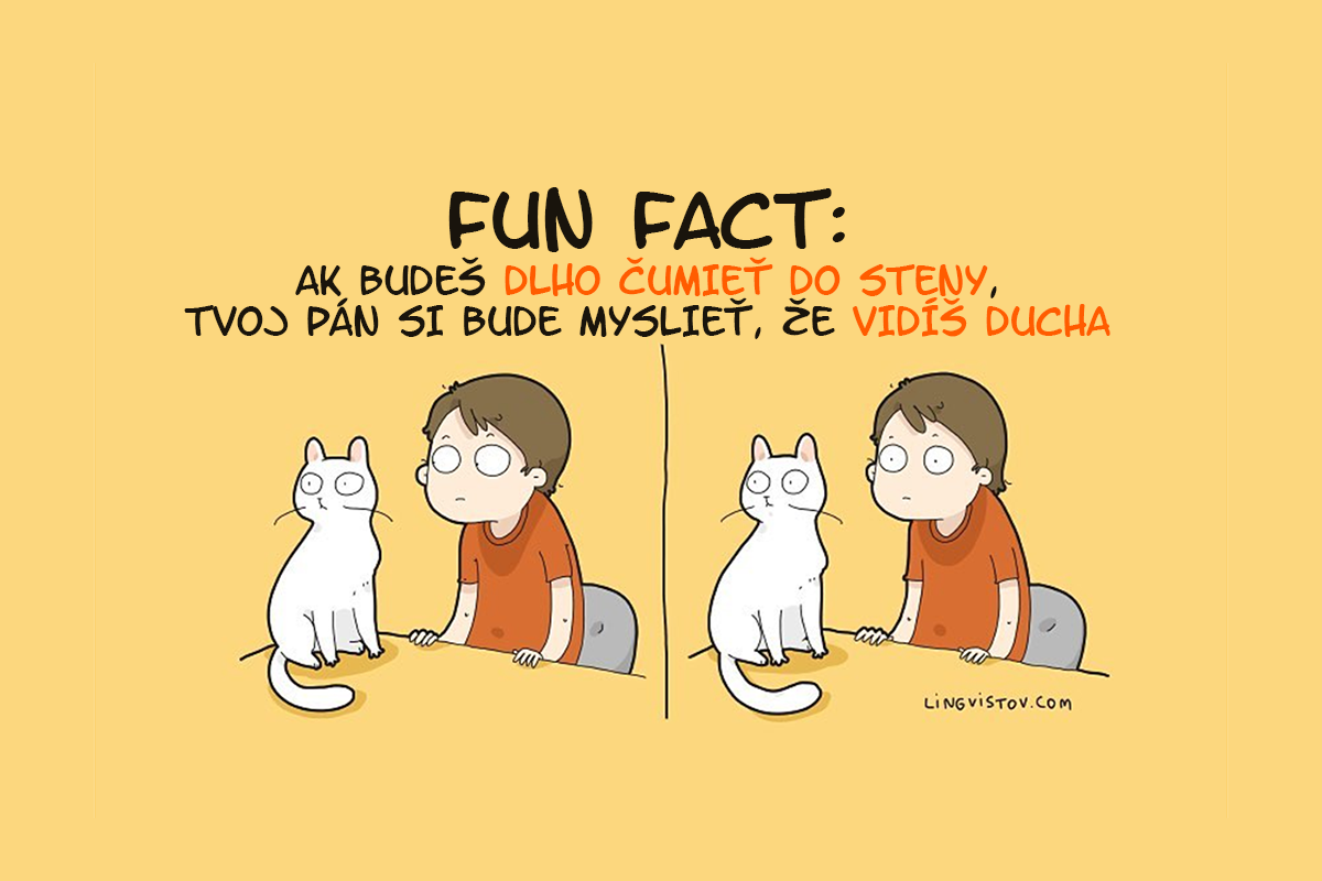 17 rozkošných komiksov o živote s mačkou, ktoré sú absolútne výstižné
