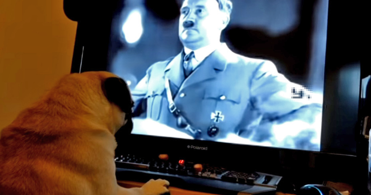 Chlapík sa pochválil videom, na ktorom učí psíka hajlovať. Teraz mu za to hrozí väzenie.