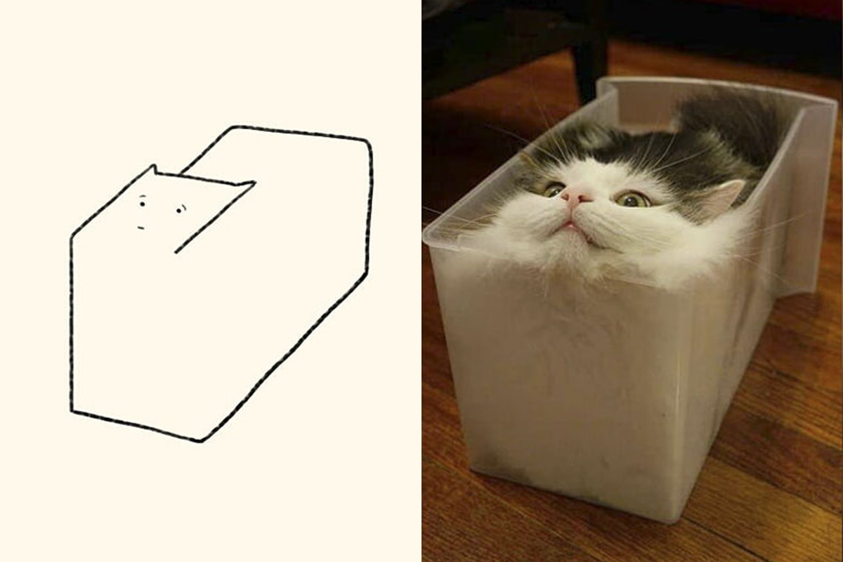 Primitívne jednoduché kresby mačiek, ktoré vás rozosmejú tým, aké sú presné