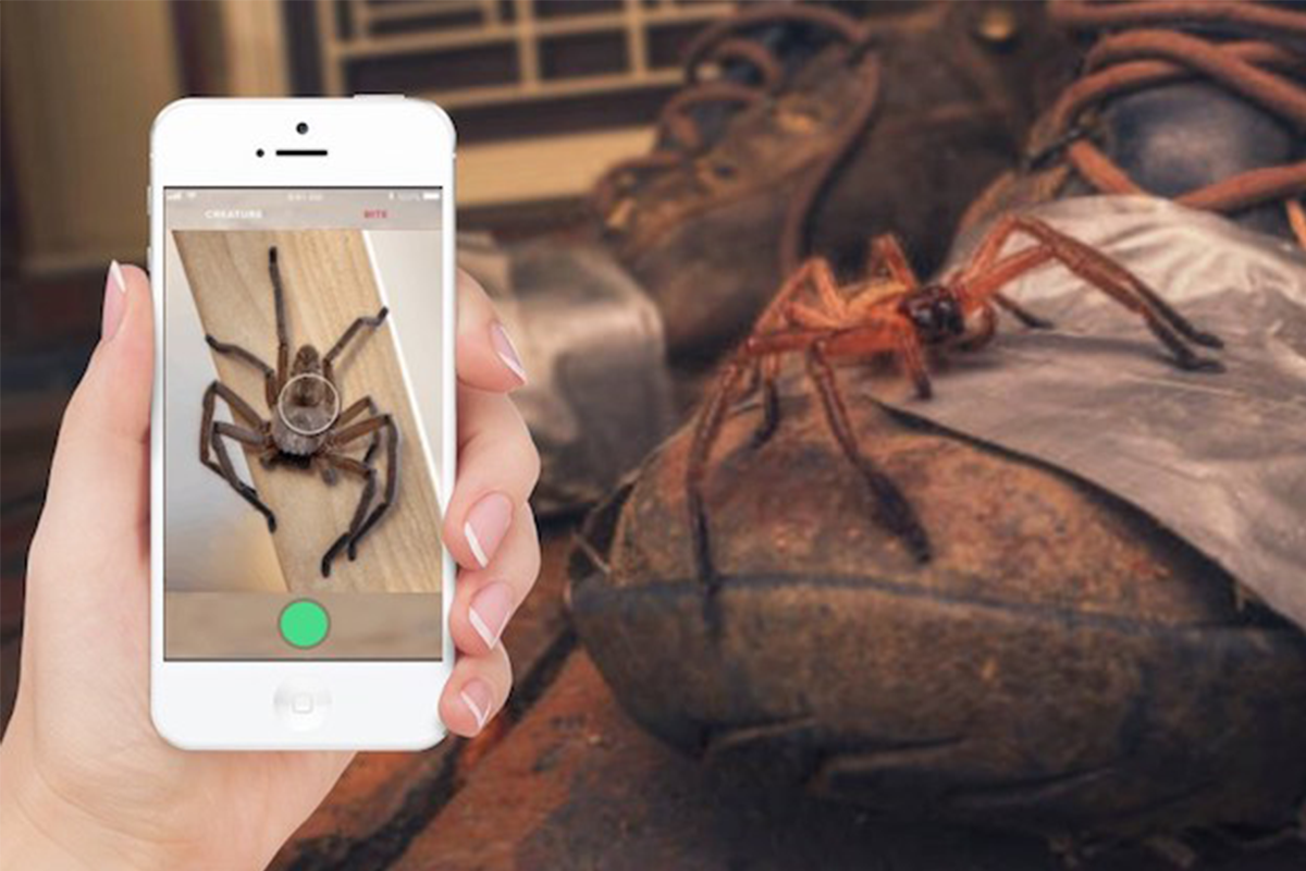 Austrália má špeciálnu aplikáciu, ktorá rozoznáva pavúky a hady