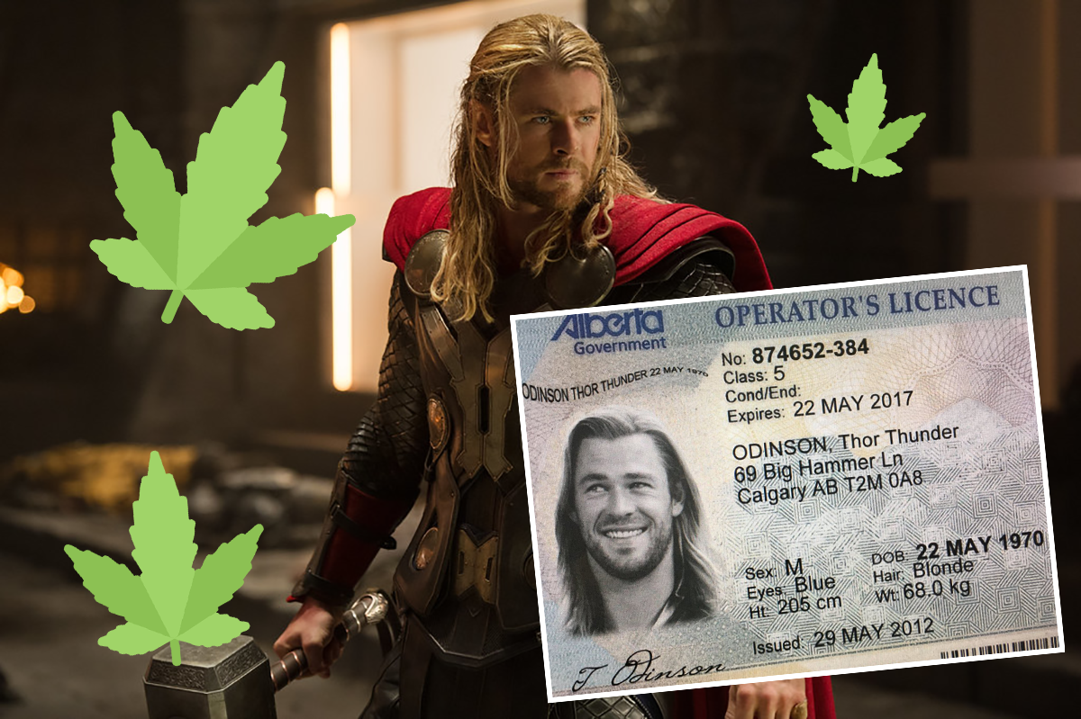 Niekto skúšal kúpiť legálnu marihuanu na Thorov vodičák. Podarilo sa mu uspieť?