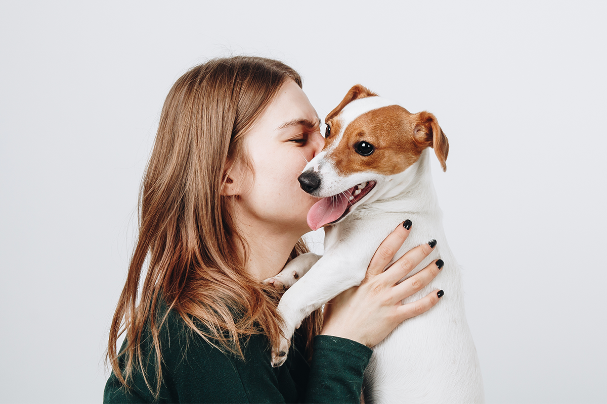 Dôvody, prečo často milujeme psíkov viac ako ľudí