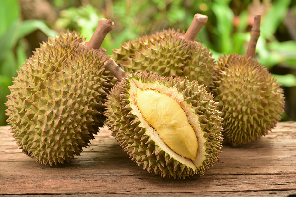 Smrdí ako hnilé mäso, no aj tak patrí medzi obľúbené pochúťky. Durian je ovocie ako žiadne iné