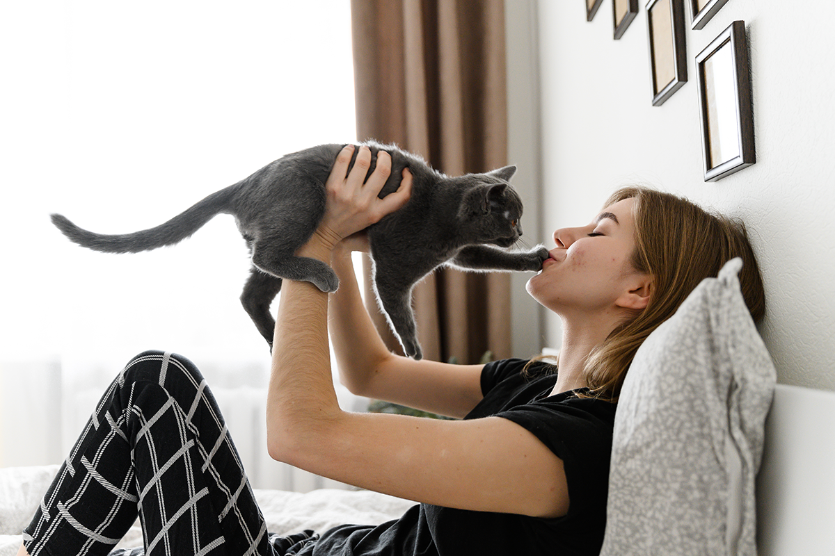 Máš doma nejaké zvieratko? Podľa prieskumu má doma mačku 20 percent Slovákov