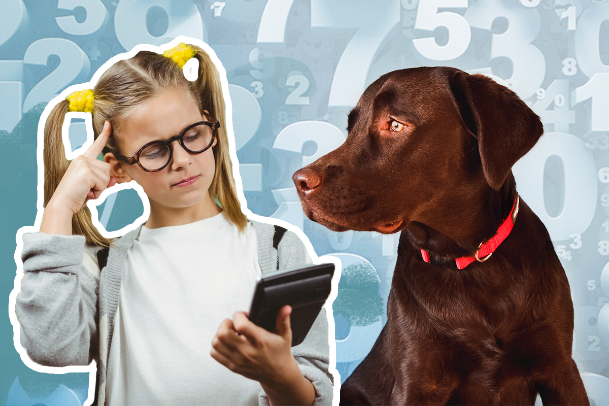 Objavil sa nový spôsob, ako prepočítavať psie roky. Koľko rokov má ten tvoj?