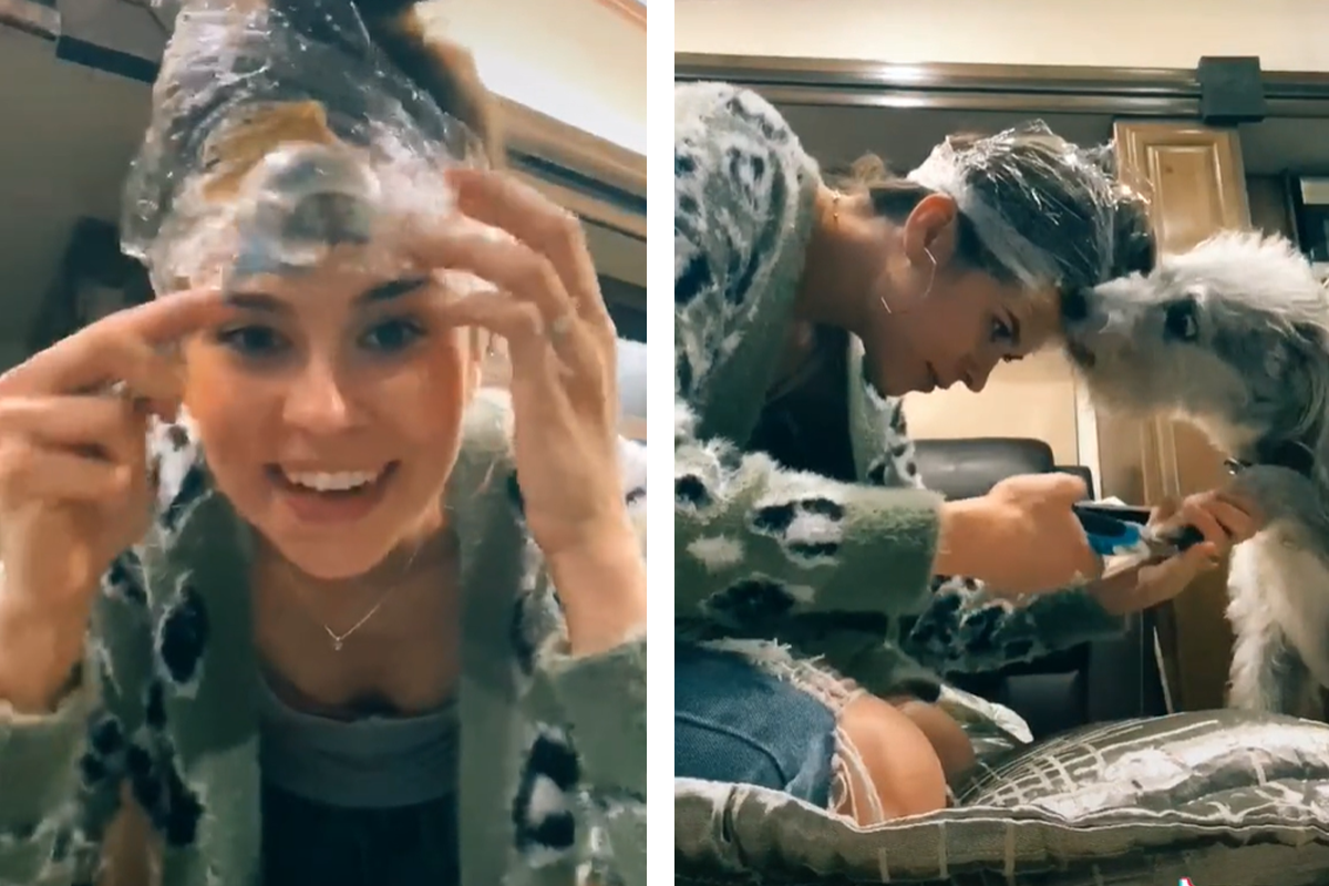 Žena sa na internete podelila o geniálny trik, ako jednoducho ostrihať psie pazúriky