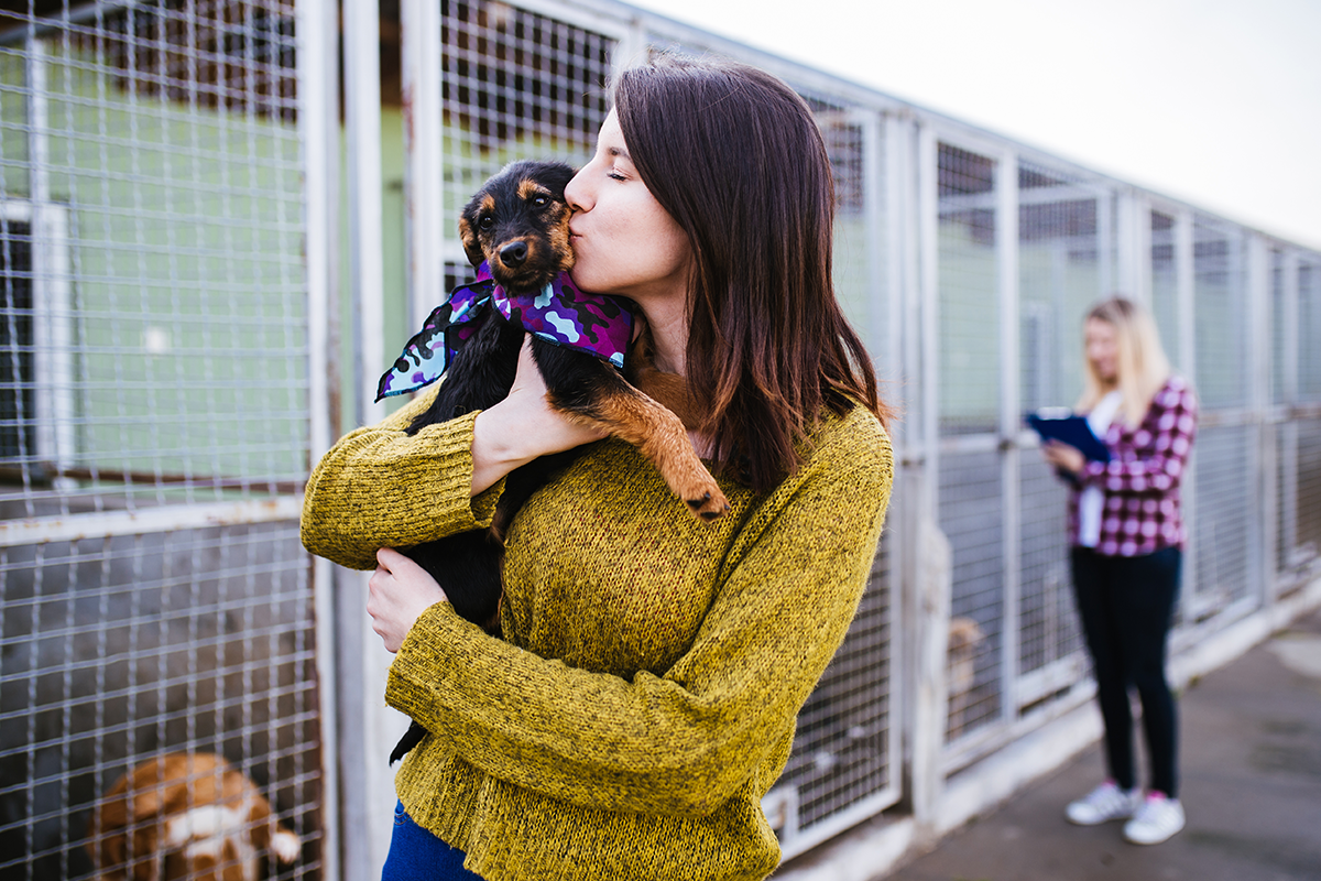 20 fotiek psíkov pred a po adopcii, ktoré ťa doženú k slzám