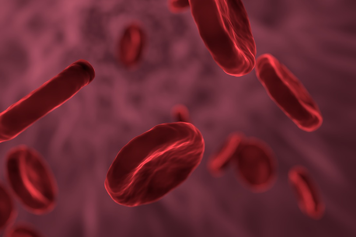 20 prekvapivých faktov o krvi, ktoré zmenia spôsob, akým sa pozeráš na svoje telo