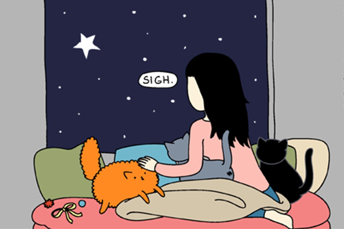 15 vtipných komiksov, v ktorých sa nájde každý majiteľ mačky