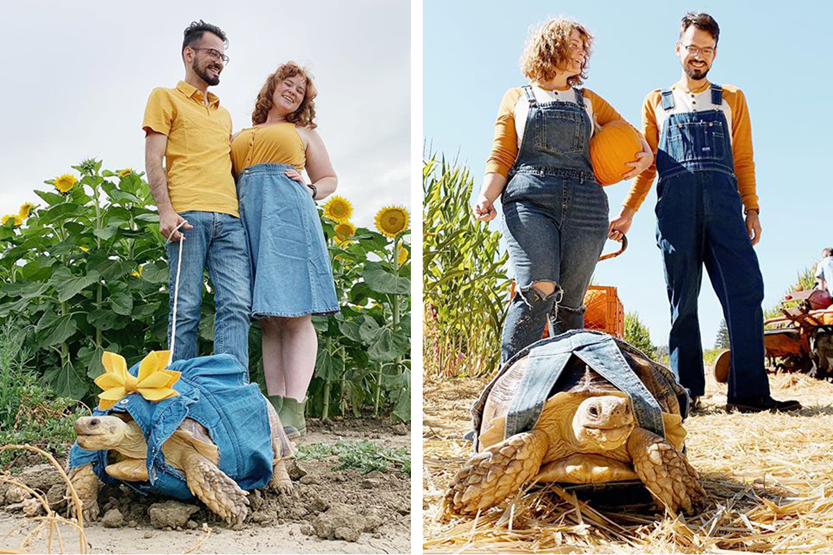 Párik z Kalifornie zabáva internet rodinnými fotografiami s obrovskou korytnačkou