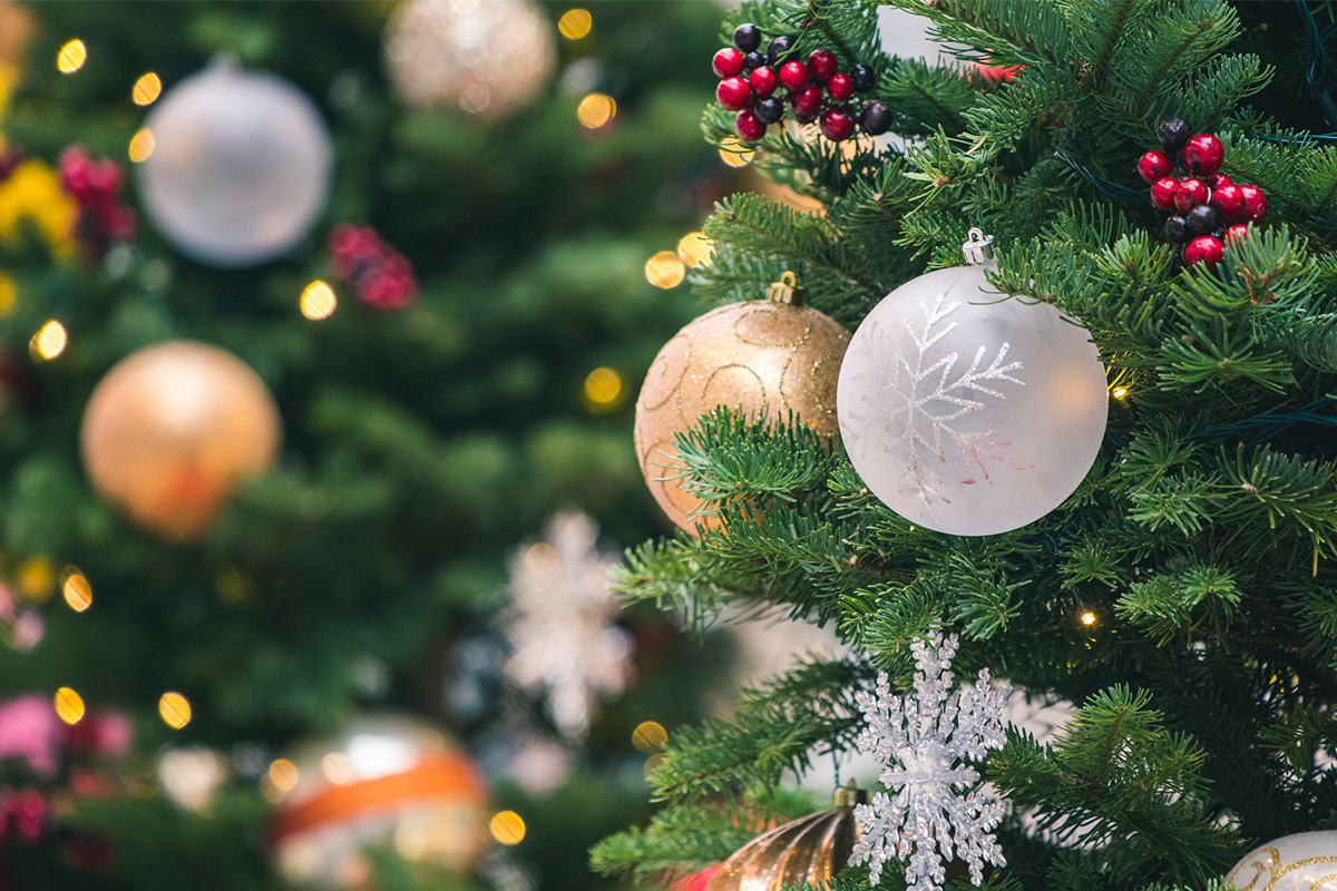 21 provizórnych vianočných stromčekov, ktoré dokazujú, že kreativite sa medze nekladú