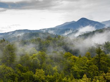 zmiznutie, záhada, desivé miesto, národný park, Great Smoky Mountains