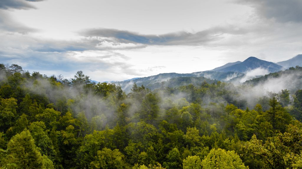 zmiznutie, záhada, desivé miesto, národný park, Great Smoky Mountains