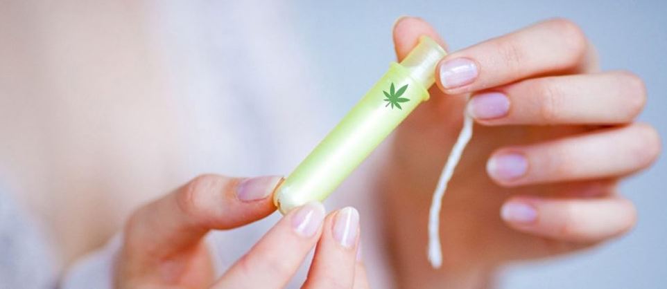 Tampóny z marihuany, špeciálne vyvinuté pre ženy