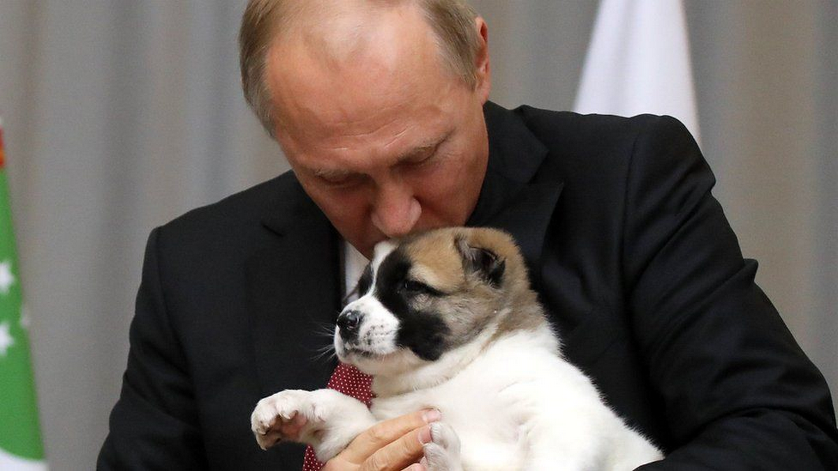 Vladimir Putin a jeho zverinec. Aké zvery robili v priebehu rokov spoločnosť mužovi z Kremľa?